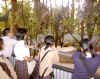 DEERPARK30.jpg (373270 bytes)