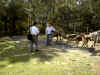 DEERPARK32.jpg (149348 bytes)