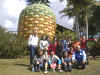 Pinapple.JPG (158611 bytes)