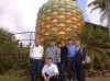 pineapple02.JPG (167062 bytes)